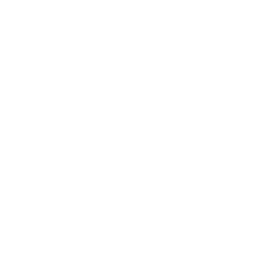 W1